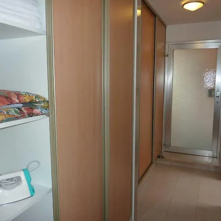 Anne Freiburg im Breisgau