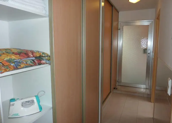 Anne Freiburg im Breisgau