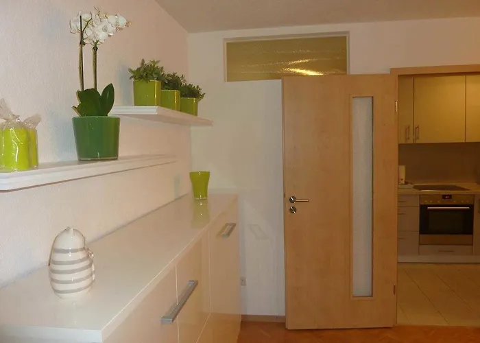 Daire Anne Freiburg im Breisgau